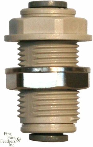 JG 1/4 inch x 1/4 inch Bulkhead - Grey
